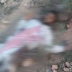 IMG_٢٠٢٥٠٨٢٩_٢٣٣٨٤٦_١٨٩-390x220