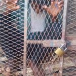 IMG-20251103-WA0009-700x470