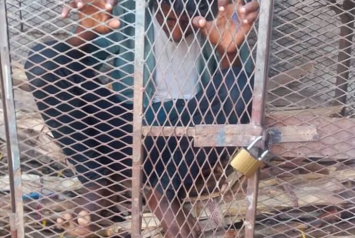 IMG-20251103-WA0009-700x470