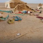 IMG_٢٠٢٦٠٣٢٨_٠٣٥٢٤٩-780x470 (1)