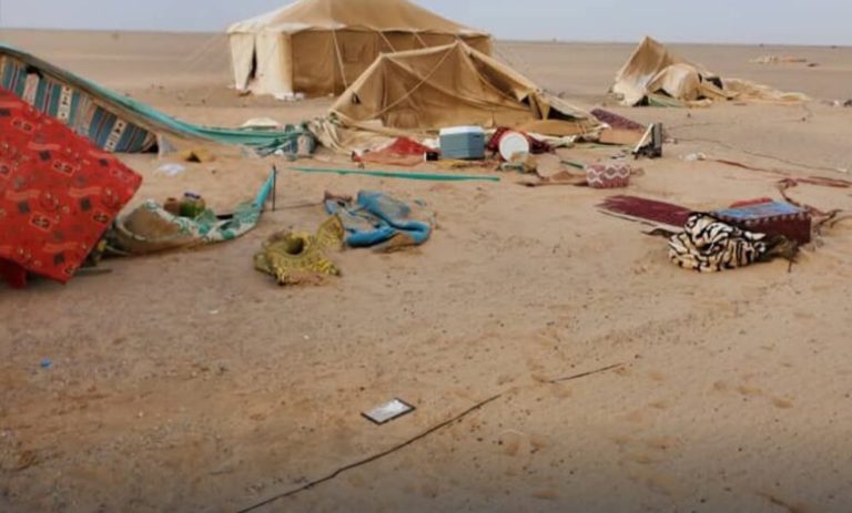 IMG_٢٠٢٦٠٣٢٨_٠٣٥٢٤٩-780x470 (1)